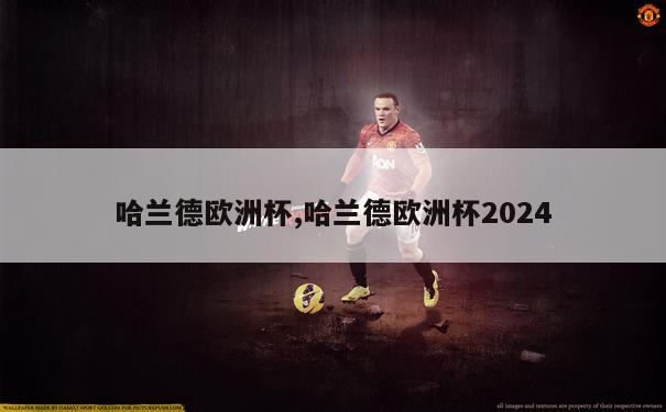 哈兰德欧洲杯,哈兰德欧洲杯2024