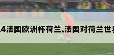 2024法国欧洲杯荷兰,法国对荷兰世界杯